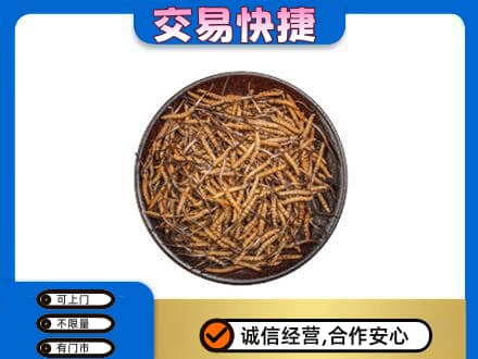 仙居县礼品回收虫草.jpg